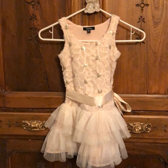 Zunie Other - Cinderella dress